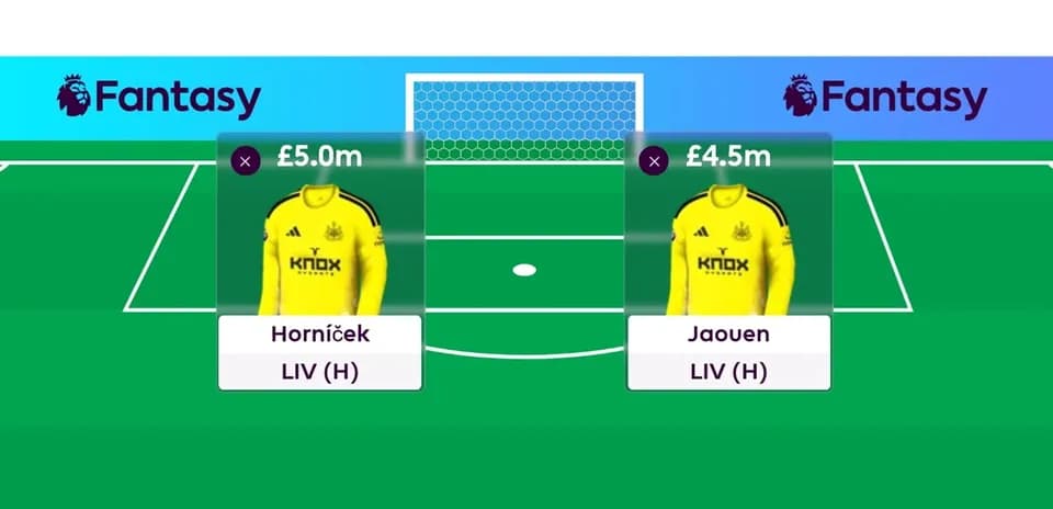 Два вратаря в Fantasy Premier League с ценами