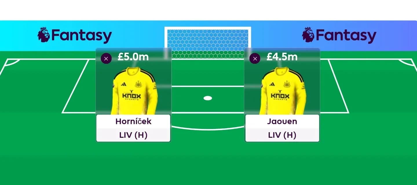 Два вратаря в Fantasy Premier League с ценами