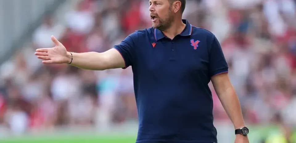 Тренер команды Crystal Palace на поле во время матча