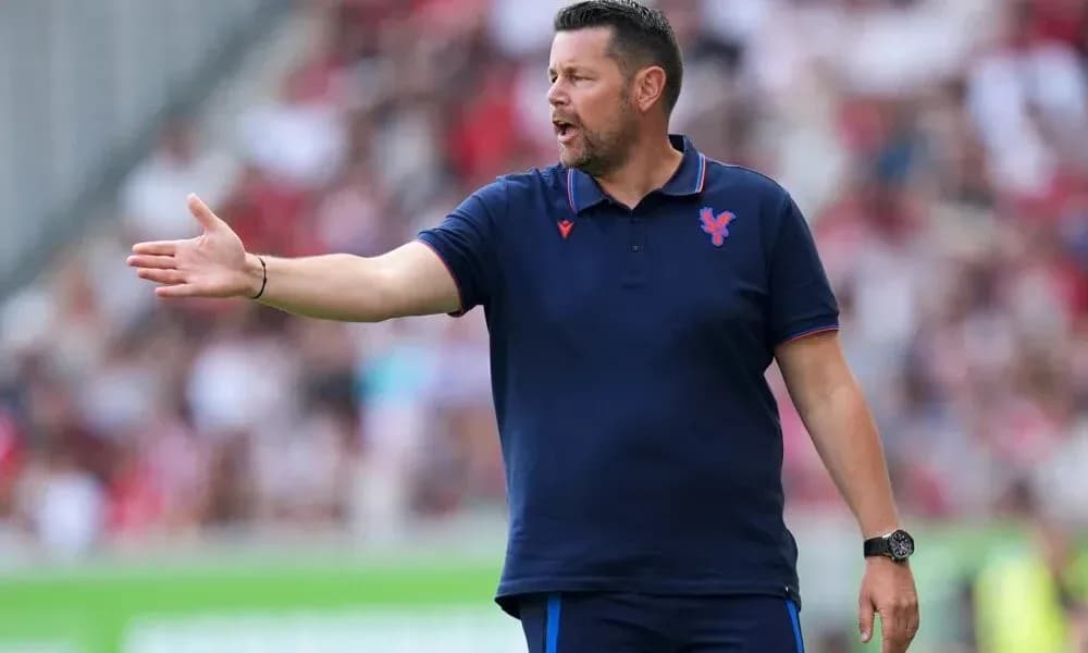 Тренер команды Crystal Palace на поле во время матча