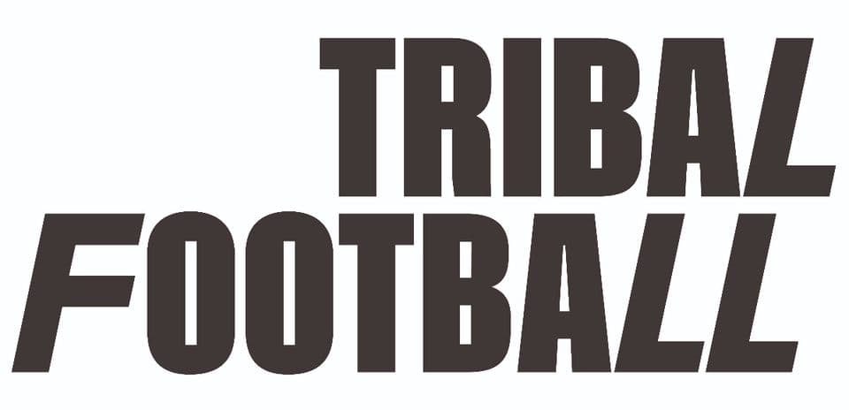 Логотип Tribal Football Логотип Tribal Football